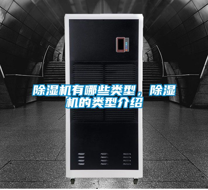 草莓视频APP在线观看有哪些类型，草莓视频APP在线观看的类型介绍