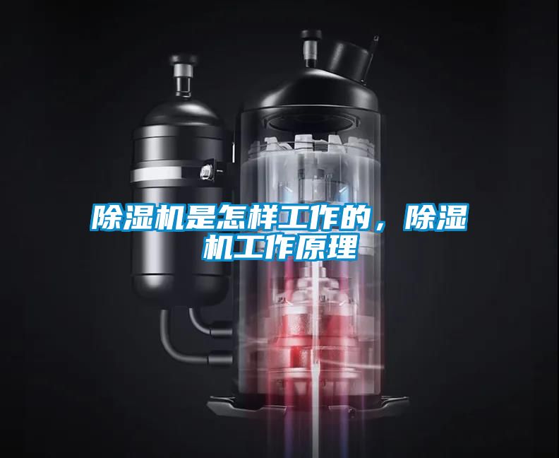 草莓视频APP在线观看是怎样工作的，草莓视频APP在线观看工作原理