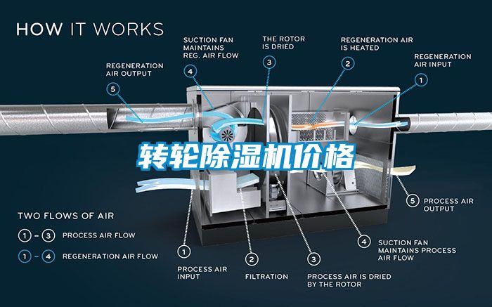 转轮草莓视频APP在线观看价格