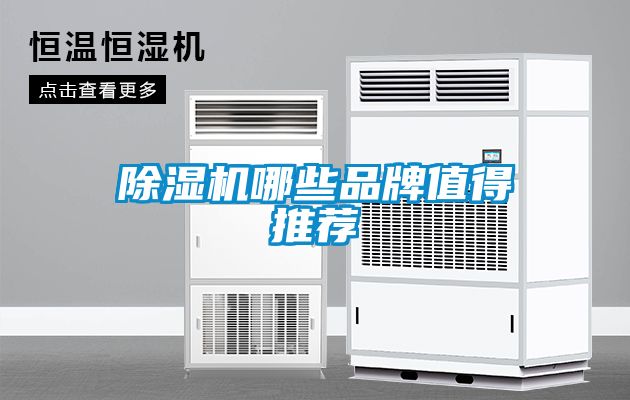 草莓视频APP在线观看哪些品牌值得推荐