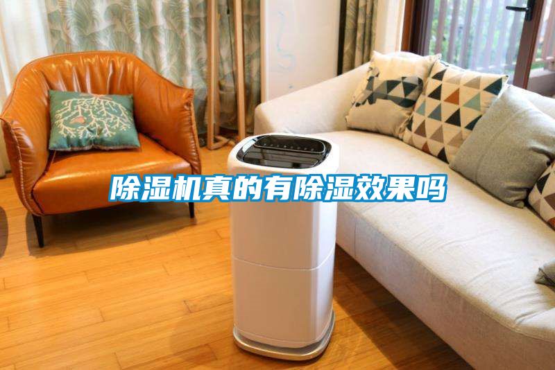 草莓视频APP在线观看真的有除湿效果吗
