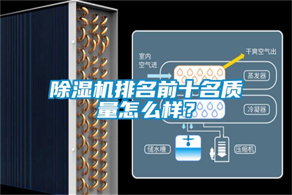 草莓视频APP在线观看排名前十名质量怎么样？