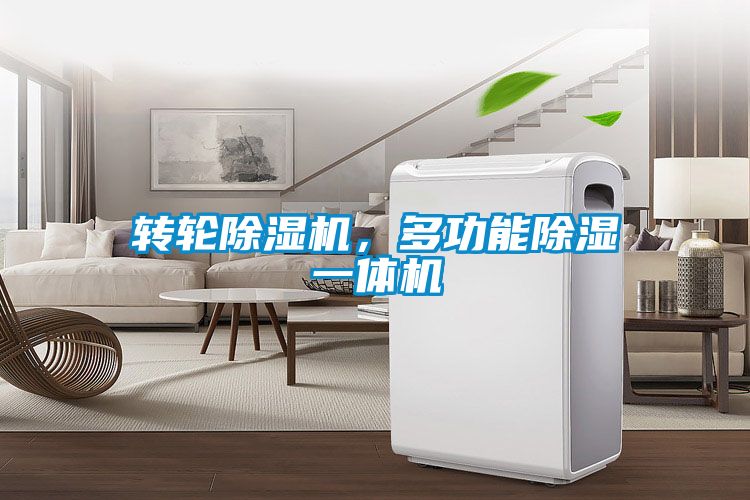 转轮草莓视频APP在线观看，多功能除湿一体机