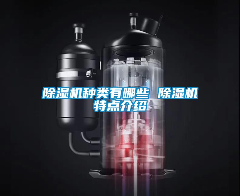 草莓视频APP在线观看种类有哪些 草莓视频APP在线观看特点介绍
