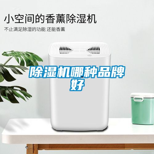 草莓视频APP在线观看哪种品牌好