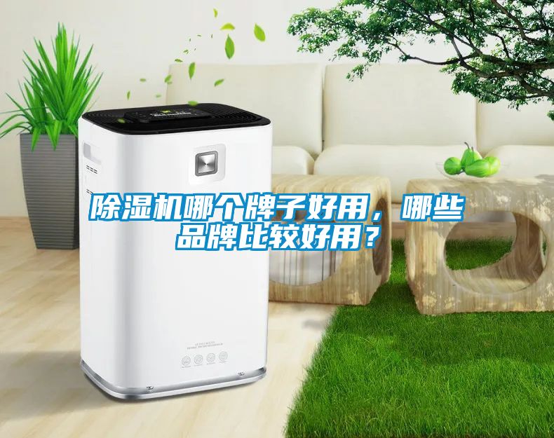 草莓视频APP在线观看哪个牌子好用，哪些品牌比较好用？
