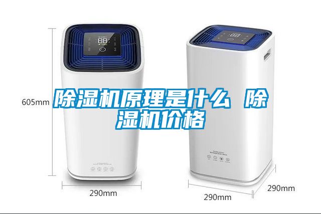 草莓视频APP在线观看原理是什么 草莓视频APP在线观看价格