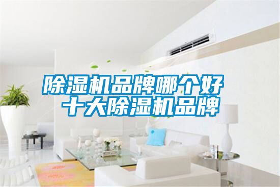 草莓视频APP在线观看品牌哪个好 十大草莓视频APP在线观看品牌