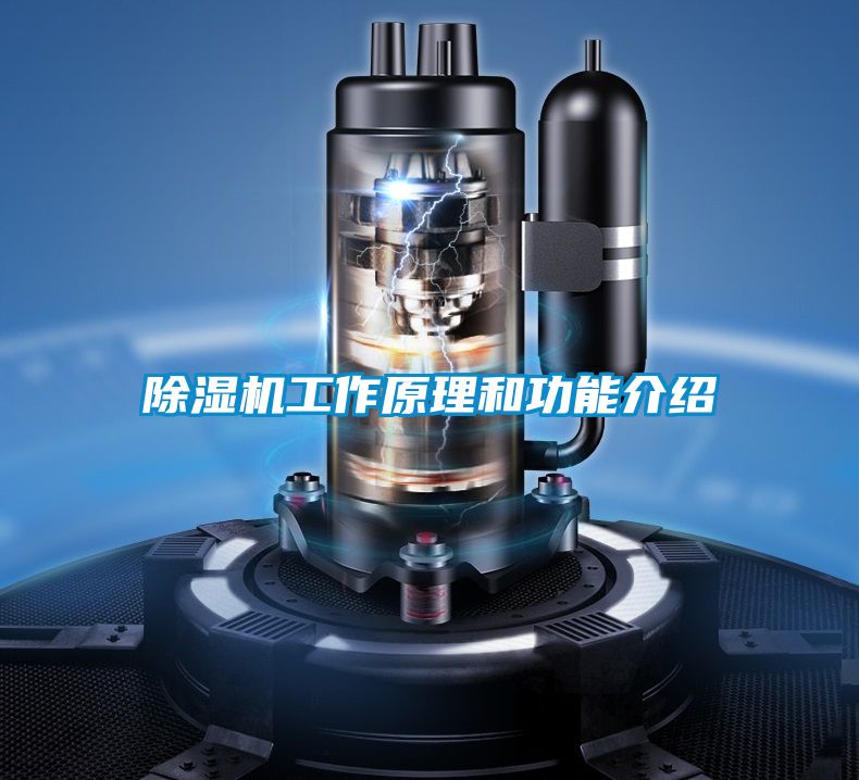 草莓视频APP在线观看工作原理和功能介绍