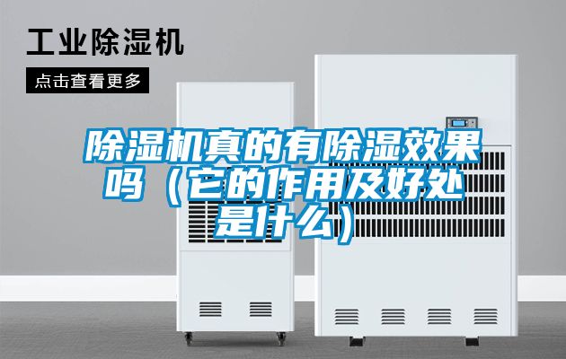 草莓视频APP在线观看真的有除湿效果吗（它的作用及好处是什么）