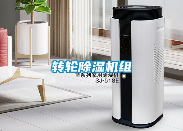 转轮草莓视频APP在线观看组