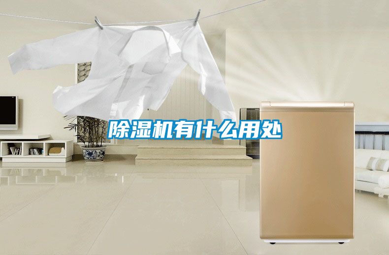 草莓视频APP在线观看有什么用处