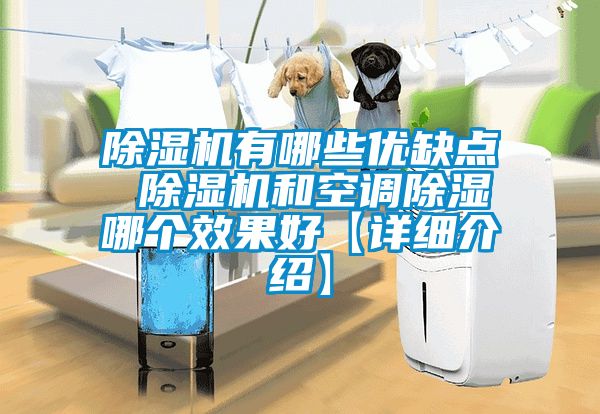 草莓视频APP在线观看有哪些优缺点 草莓视频APP在线观看和空调除湿哪个效果好【详细介绍】