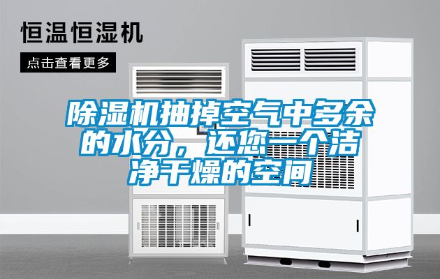 草莓视频APP在线观看抽掉空气中多余的水分，还您一个洁净干燥的空间