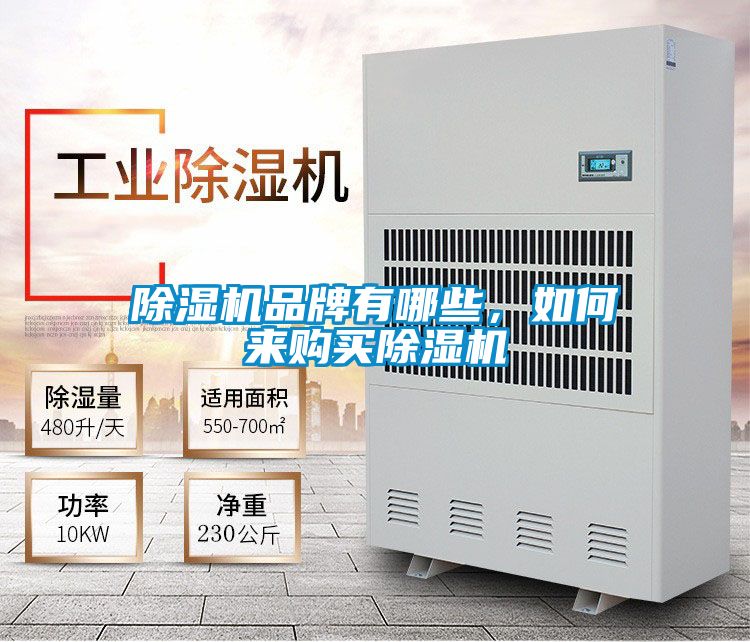 草莓视频APP在线观看品牌有哪些，如何来购买草莓视频APP在线观看