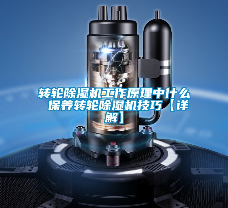 转轮草莓视频APP在线观看工作原理中什么 保养转轮草莓视频APP在线观看技巧【详解】