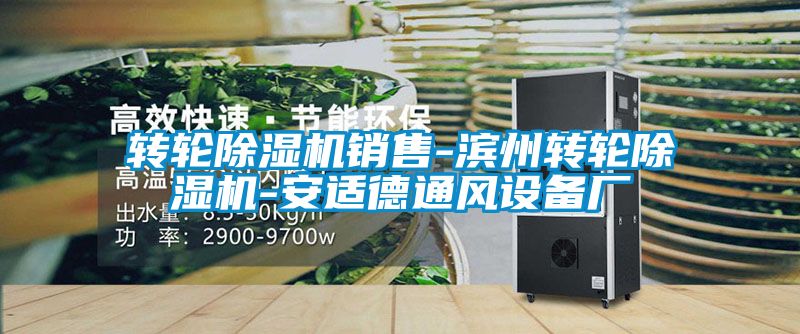 转轮草莓视频APP在线观看销售-滨州转轮草莓视频APP在线观看-安适德通风设备厂