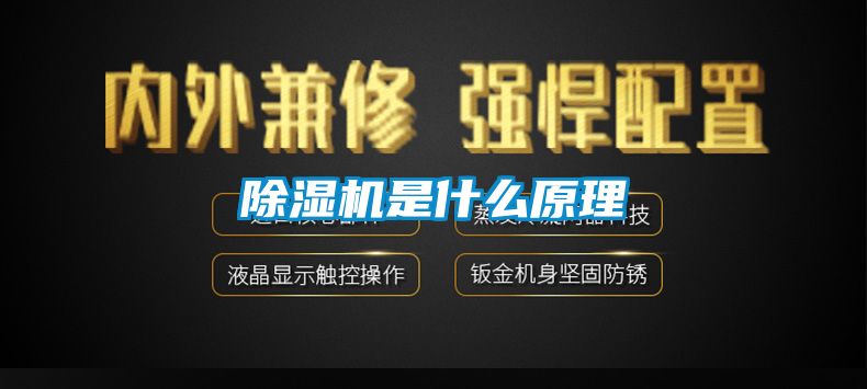 草莓视频APP在线观看是什么原理