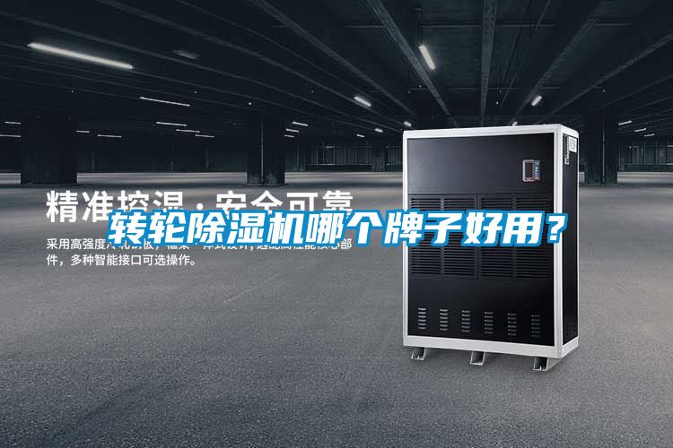 转轮草莓视频APP在线观看哪个牌子好用？