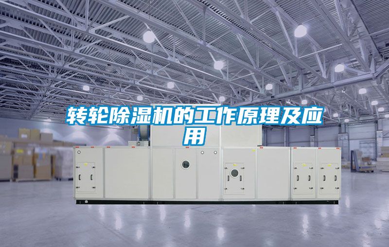 转轮草莓视频APP在线观看的工作原理及应用