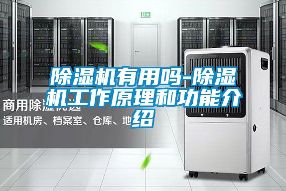 草莓视频APP在线观看有用吗-草莓视频APP在线观看工作原理和功能介绍