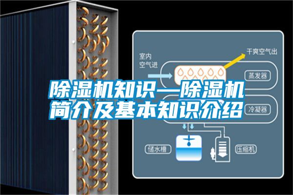 草莓视频APP在线观看知识—草莓视频APP在线观看简介及基本知识介绍