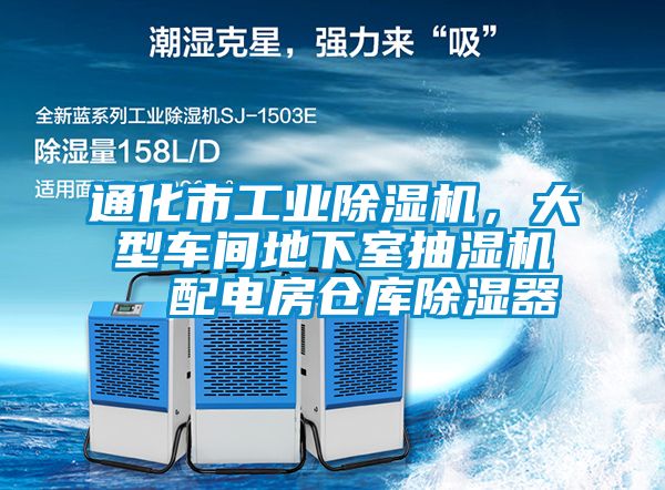 通化市工业草莓视频APP在线观看，大型车间地下室抽湿机  配电房仓库除湿器