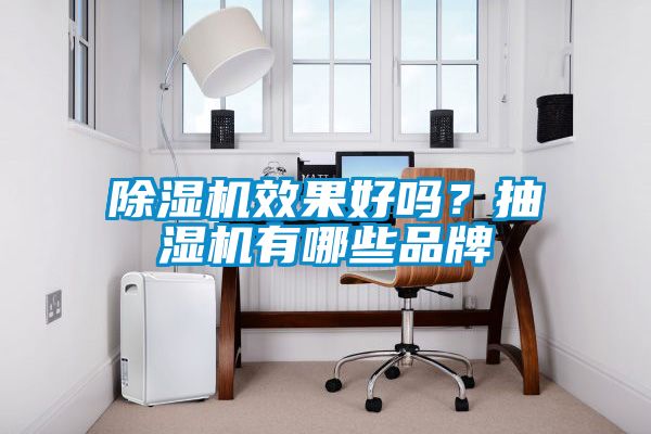 草莓视频APP在线观看效果好吗？抽湿机有哪些品牌