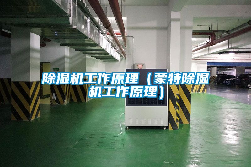 草莓视频APP在线观看工作原理（蒙特草莓视频APP在线观看工作原理）