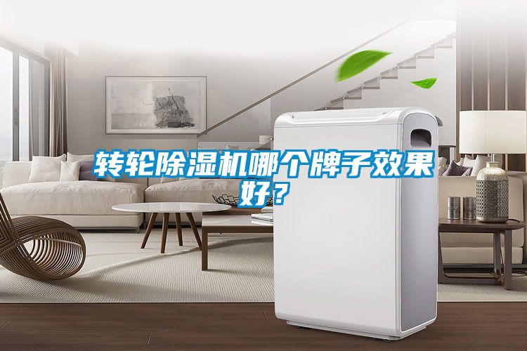 转轮草莓视频APP在线观看哪个牌子效果好？