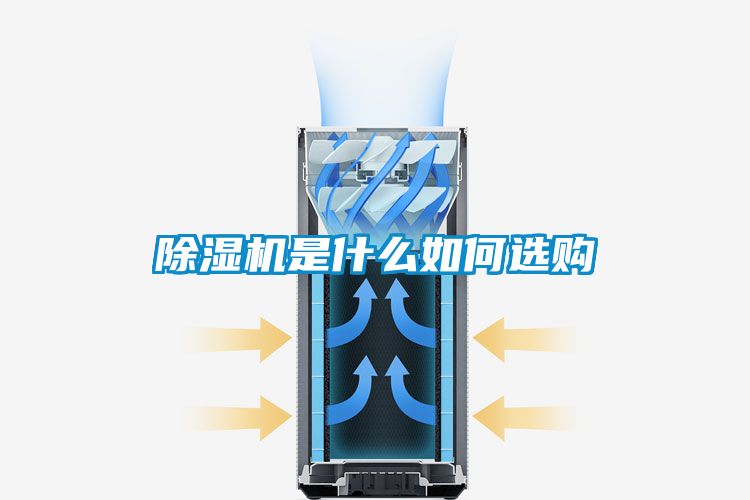 草莓视频APP在线观看是什么如何选购