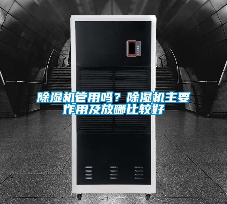 草莓视频APP在线观看管用吗？草莓视频APP在线观看主要作用及放哪比较好