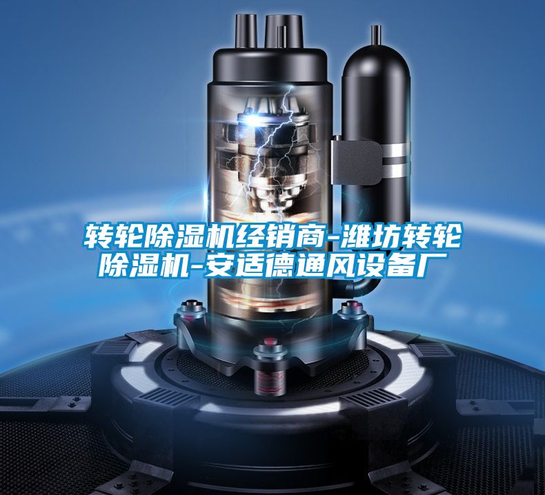 转轮草莓视频APP在线观看经销商-潍坊转轮草莓视频APP在线观看-安适德通风设备厂