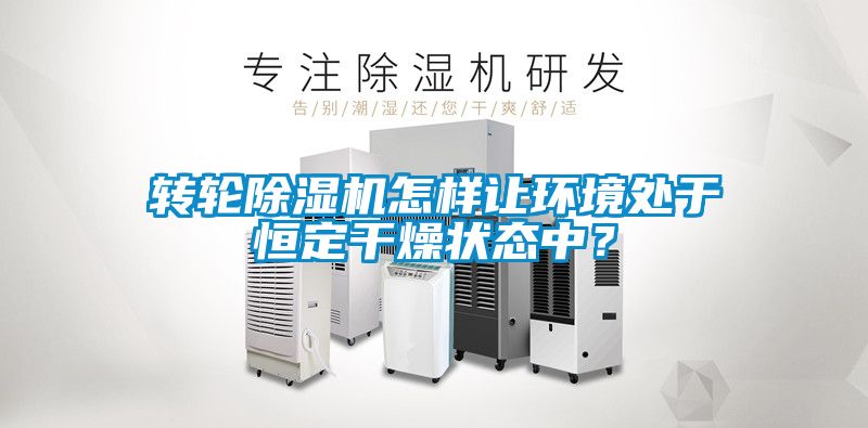转轮草莓视频APP在线观看怎样让环境处于恒定干燥状态中？