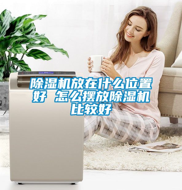 草莓视频APP在线观看放在什么位置好 怎么摆放草莓视频APP在线观看比较好