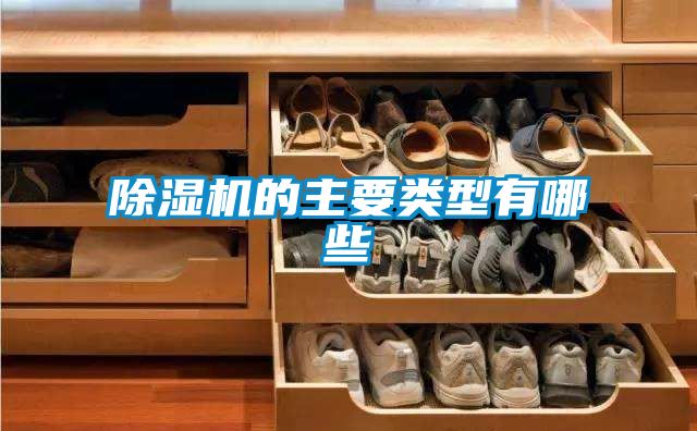 草莓视频APP在线观看的主要类型有哪些