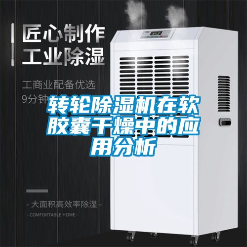 转轮草莓视频APP在线观看在软胶囊干燥中的应用分析