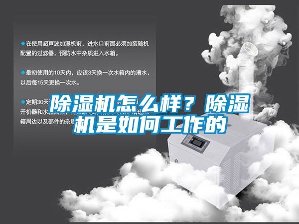 草莓视频APP在线观看怎么样？草莓视频APP在线观看是如何工作的