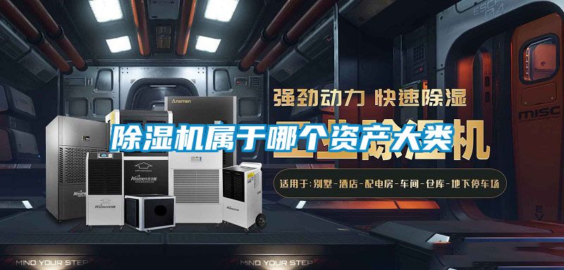 草莓视频APP在线观看属于哪个资产大类