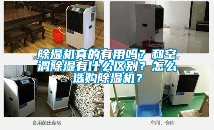 草莓视频APP在线观看真的有用吗？和空调除湿有什么区别？怎么选购草莓视频APP在线观看？