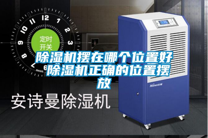 草莓视频APP在线观看摆在哪个位置好 草莓视频APP在线观看正确的位置摆放