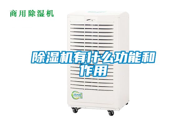 草莓视频APP在线观看有什么功能和作用