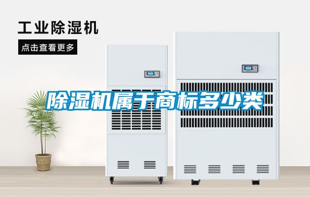 草莓视频APP在线观看属于商标多少类