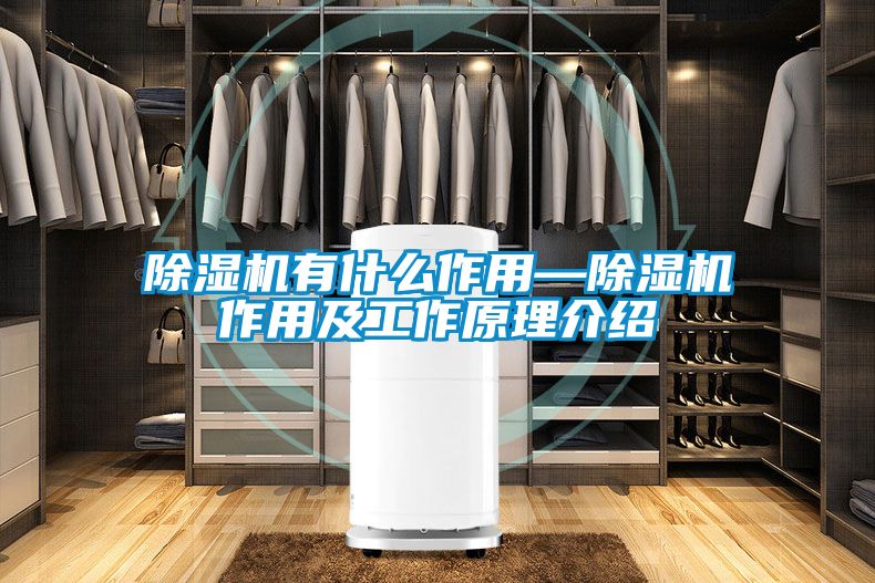 草莓视频APP在线观看有什么作用—草莓视频APP在线观看作用及工作原理介绍