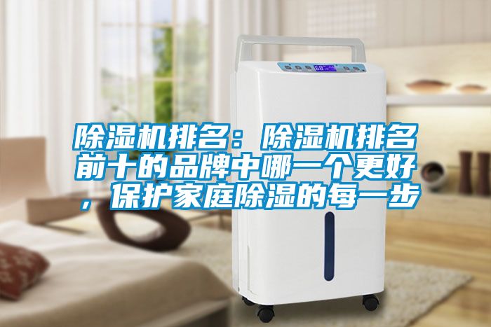 草莓视频APP在线观看排名：草莓视频APP在线观看排名前十的品牌中哪一个更好，保护家庭除湿的每一步