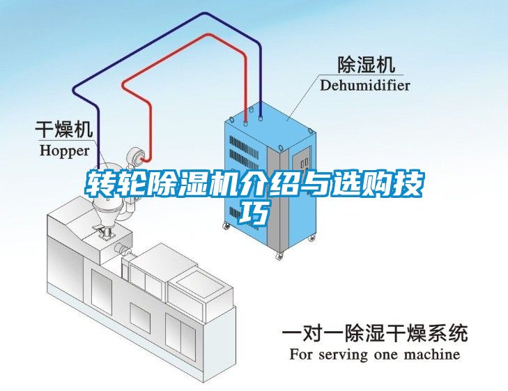 转轮草莓视频APP在线观看介绍与选购技巧