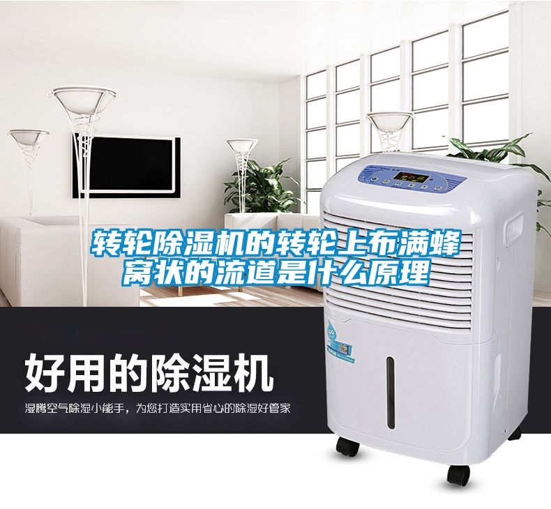 转轮草莓视频APP在线观看的转轮上布满蜂窝状的流道是什么原理