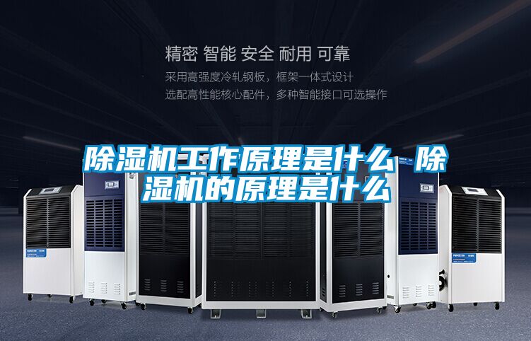 草莓视频APP在线观看工作原理是什么 草莓视频APP在线观看的原理是什么