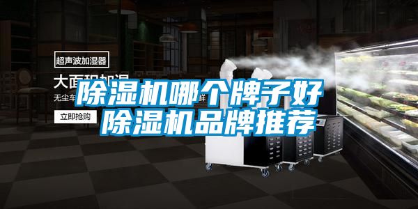 草莓视频APP在线观看哪个牌子好 草莓视频APP在线观看品牌推荐