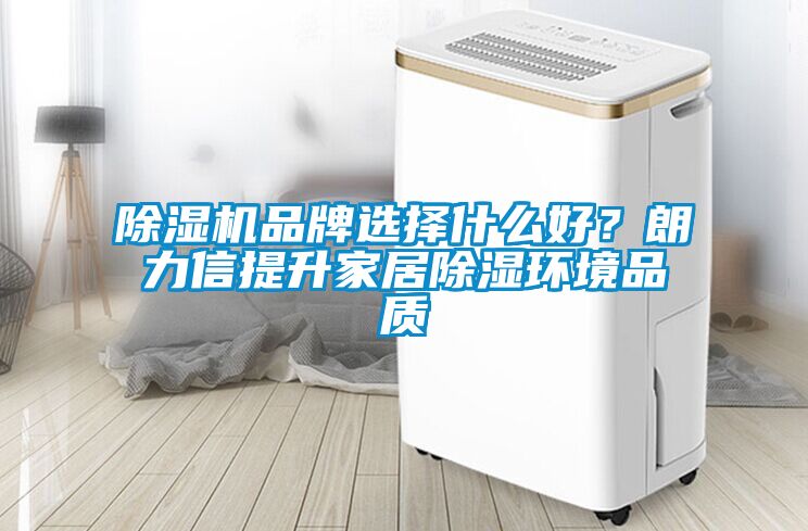 草莓视频APP在线观看品牌选择什么好？朗力信提升家居除湿环境品质